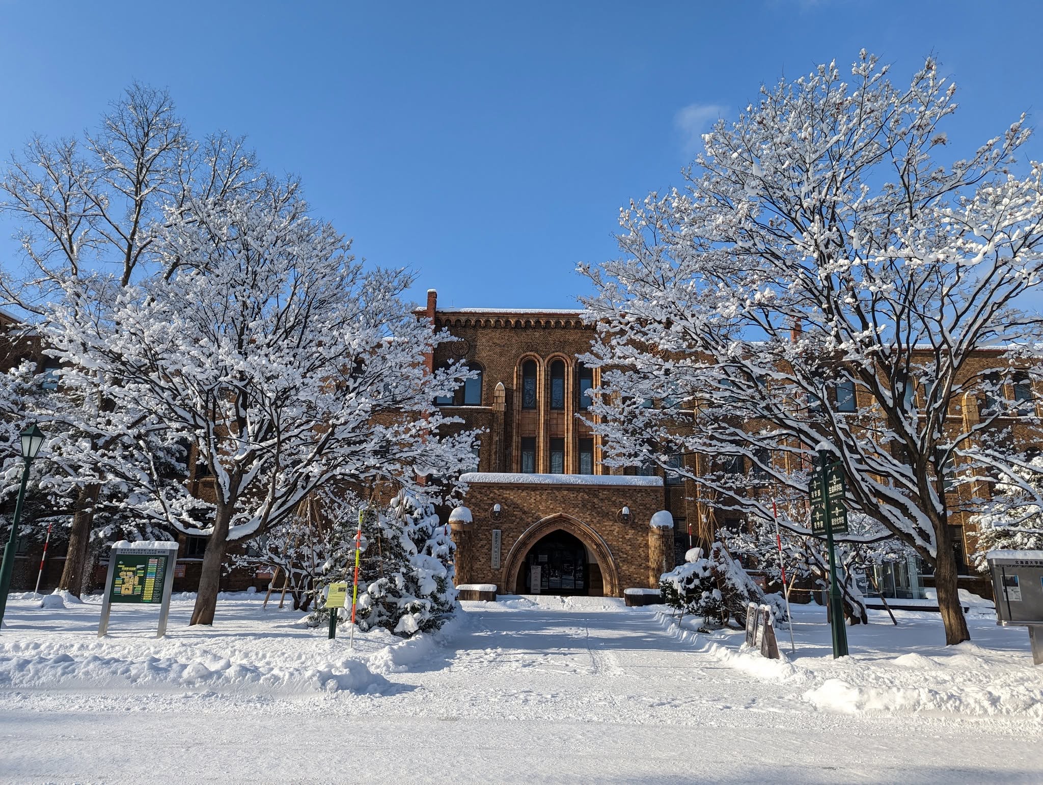 北海道大学総合博物館